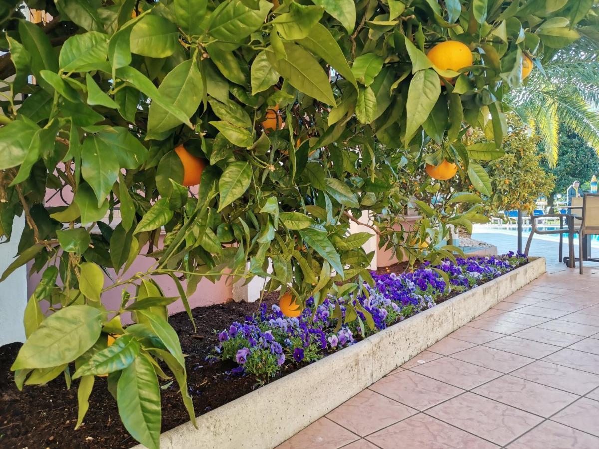 Sunlake Hotel Riva del Garda Eksteriør bilde